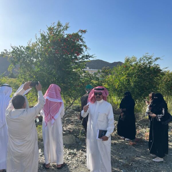 صورة واتساب بتاريخ 1446 11 29 في 17 04 15 b73e3c94 600x600